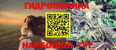 a pvp Можга