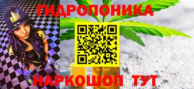 a pvp Можга