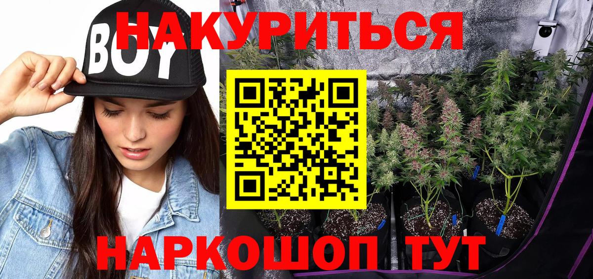 Каннабис Ganja  Вход с VPN  Каннабис ГИДРОПОН  Туапсе  Бошки Шишки тримм 